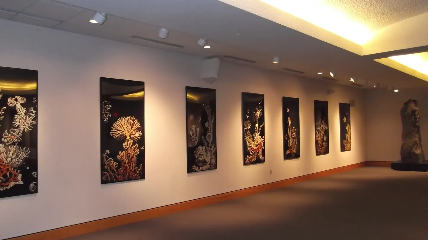 A row of paintings on the wall in a room.